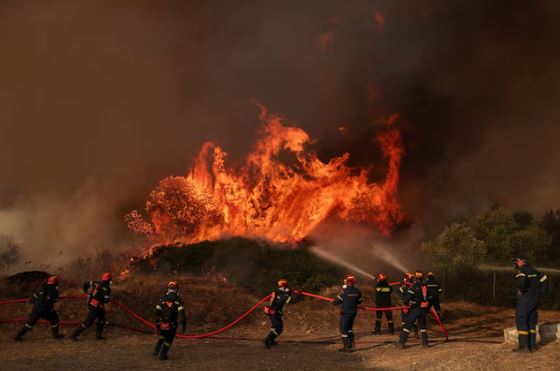 World News: Greater investment to save the environment ‘is crucial’
